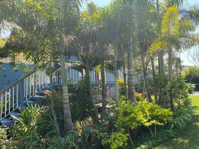 תחזוקת גינה 3